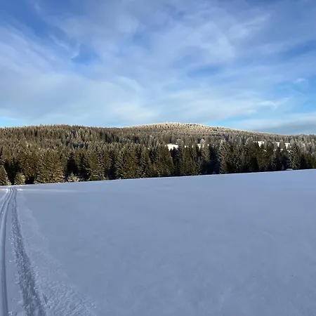 Apartmán Lesní Premium Family *