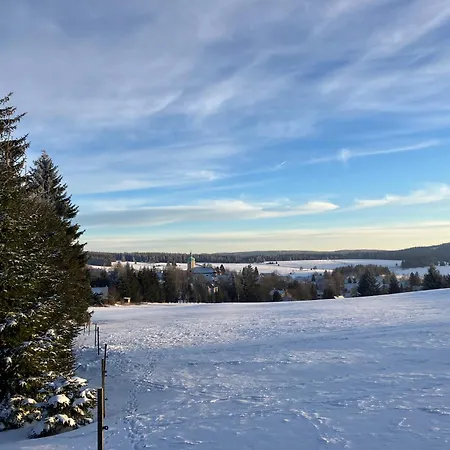 Lesní Premium Family Apartmán *