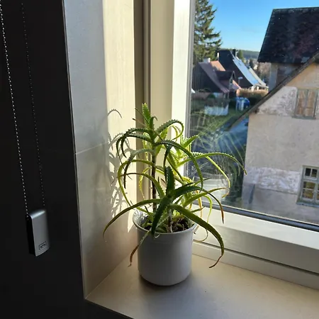 Lesni Premium Family Apartament *