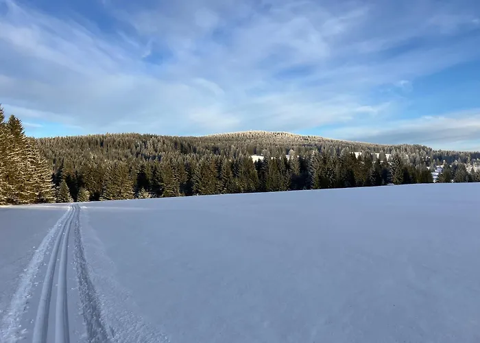 Apartmán Lesní Premium Family *