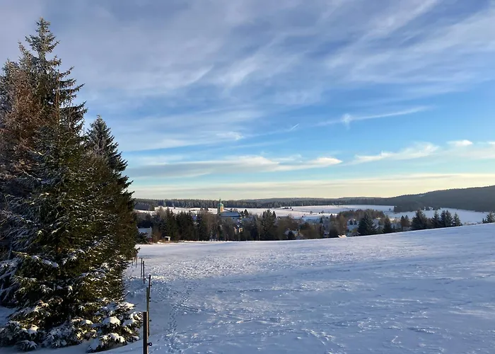 Lesní Premium Family Apartmán *